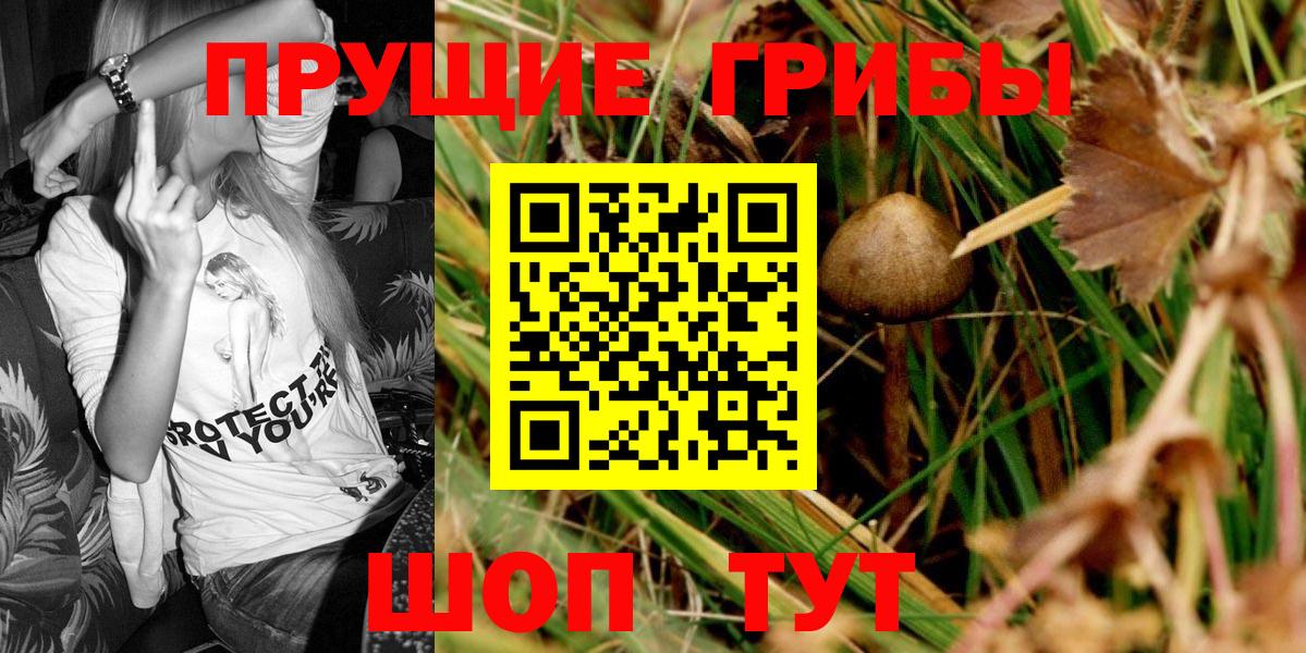 Галлюциногенные грибы Psilocybe Донской