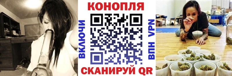 Бошки марихуана гибрид  где купить наркотик  Донской 